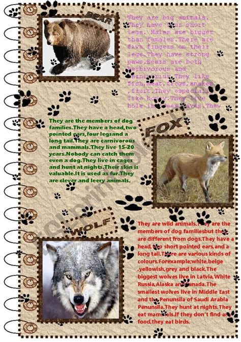 FACTS ABOUT ANIMALS SET (wild animals 1) - ESL worksheet by nergisumay