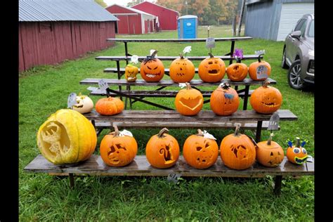 Get spooky at Halloween Stalwart Fairgrounds celebration - SooLeader