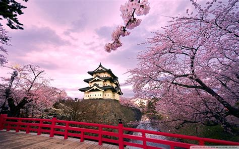 10 Best Cherry Blossom Japan Wallpaper FULL HD 1920×1080 For PC Desktop 2023 | Hirosaki ...