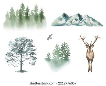 Watercolor Forest Tree Illustration Mountain Landscape Stock Illustration 2212976057 | Shutterstock