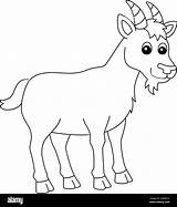 Billy Goat Coloring Pages sketch template