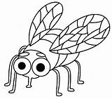 Mosca Mouche Colorier Colorare Fruta Dibuixos Dibuix Moscas Insectos  sketch template