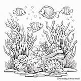 Aquarium Coloring Pages  Free & Printable Worksheets Library sketch template
