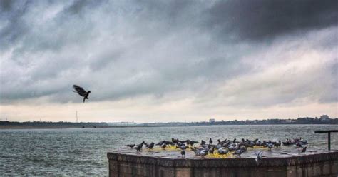 Rains to increase in Lucknow, Bareilly and flood hit Bahraich | Skymet Weather Services