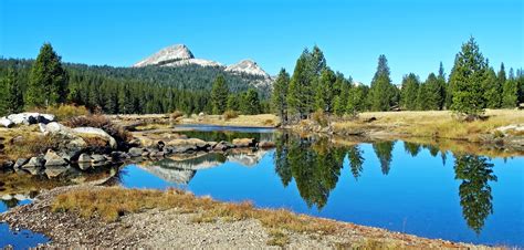 Tuolumne Meadows in Yosemite 2024 - Rove.me