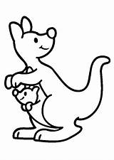 Baby Kangaroo Drawing sketch template