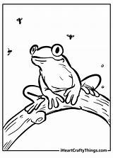 Coloring Page Of A Frog Fun And Educational Activity For Kids sketch template