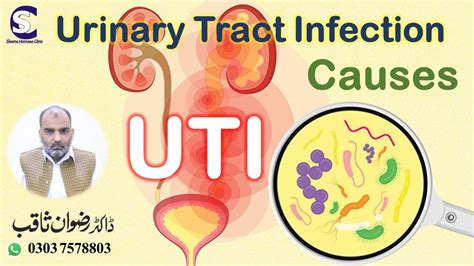 Causes of Urinary Tract Infection | پیشاب میں انفیکشن کی وجوہات ...