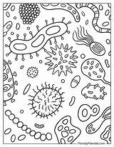 Bacterias Microscope Kindpng Bacteria Bacterial Cells Svg Sketch  sketch template