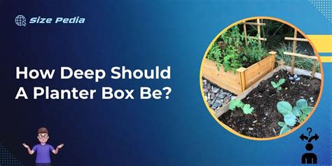 How Deep Should a Planter Box Be: Essential Tips for Gardeners