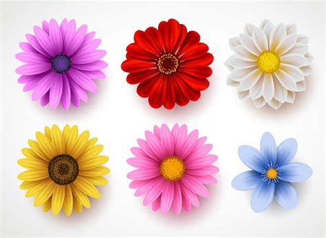 Exploring Flower Types for Kids: Colors, Names, and Learning