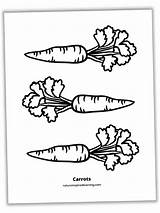 Carrots Coloring Page sketch template