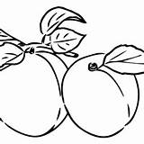 Peaches Coloring Pages Printable For Free Download sketch template