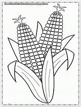 Corn Coloring Pages Printable  Home sketch template