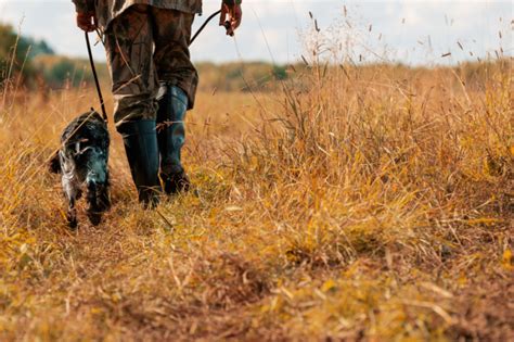 10 Wild Game Recipes to Tame Your Hunger | Kansas Farm Food