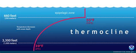 8.1 Significance of Oceans – Dynamic Planet: Exploring Geological ...