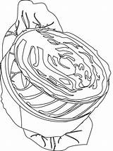 Cabbage Coloring Pages sketch template