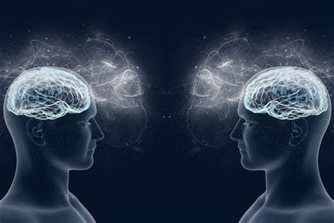 Il sistema dei neuroni specchio (mirror neuron): cos’è e come funziona