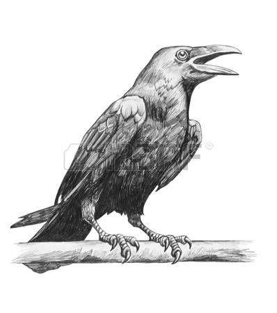 Crows Drawing, Bird Drawings, Pencil Art Drawings, Animal Drawings ...