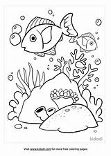 Coral Reefs Coloring Pages  Home sketch template