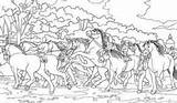 Coloring Pages Horse Herd & Coloring Book 6000  coloring sketch template