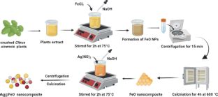 Green synthesis of α-Fe2O3 and α-Fe2O3@Ag NC for degradation of rose Bengal and antimicrobial ...