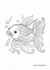 Fish Coloring Pages  39 Free Printable Sheets sketch template