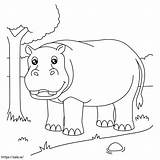 Hippopotamus And Tree coloring Page sketch template
