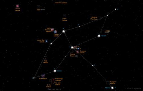 Cygnus Star Map