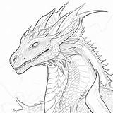 Premium Photo  Black And White coloring Picture Of A wyvern sketch template