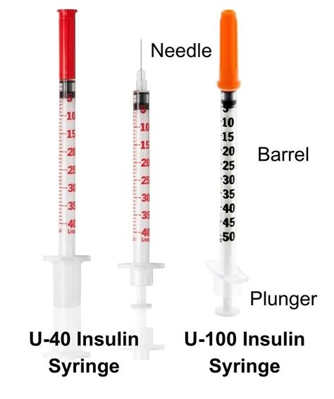 UNDERSTANDING THE INSULIN SYRINGE: A COMPREHENSIVE GUIDE FOR DIABETES MANAGEMENT | Practice Of ...