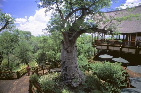 Botswana Travel Guide - Expert Picks for your Vacation | Fodor’s Travel