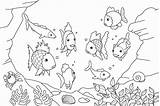 Aquarium Fish Färbung Seite  Kostenlose Druckbare Malvorlagen Für Kinder sketch template