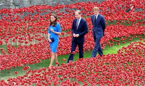 Tower of London's Evolving Poppy Art Installation Photos | Image #41 ...