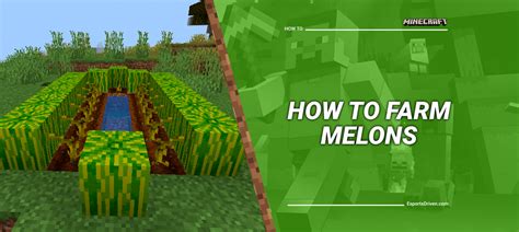 Your Ultimate Guide on Melon Farming in Minecraft