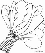 Free Printable Spinach Coloring Page In Vector Format Easy To Print  sketch template