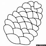 19  pine cone coloring MatildaAugust sketch template
