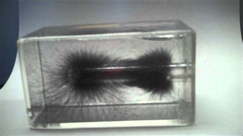 Magnetic Field lines, 3D - YouTube