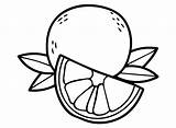 Printable Grapefruit Coloring Page  Free Coloring Pages sketch template