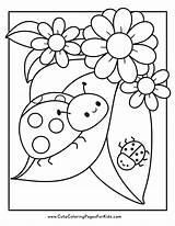 Insect Coloring Pages Bug Drawing Printable Kids Worksheet Outline  sketch template