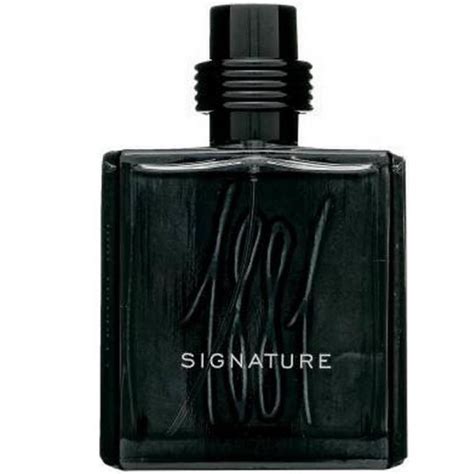 Cerruti 1881 Signature Men edp 100ml - 306 DKK - SwedishFace.dk ♥ ...