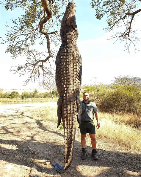 African Crocodile Hunt - RSA - Trips4Trade