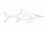 Ichthyosaurus Coloring Page sketch template
