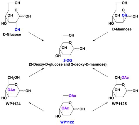Molecules | Free Full-Text | The Antiviral Effects of 2-Deoxy-D-glucose (2-DG), a Dual D-Glucose ...