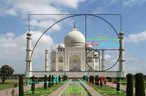 Understanding the Golden Ratio in Design in depth. | Golden ratio in design, Golden ratio ...