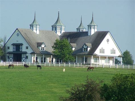 47++ Pictures of kentucky horse farms info | basicsofhorsestalldesign