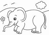 Baby Jungle Animals Coloring Pages At GetColoringscom  Free Printable sketch template