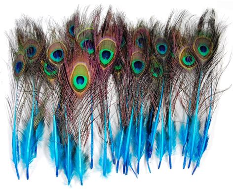 Peacock Feathers Peacock Decor Ideas