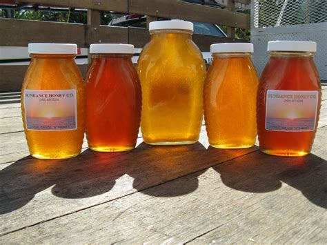 Fresh Honey & More Products - Bee Busters Inc.