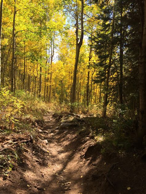 Elbert Creek Trail, San Juan National Forest. : r/hiking